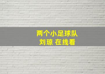 两个小足球队 刘琼 在线看